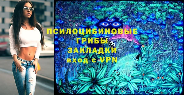 тгк Верея