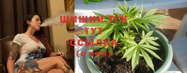 индика Верхнеуральск