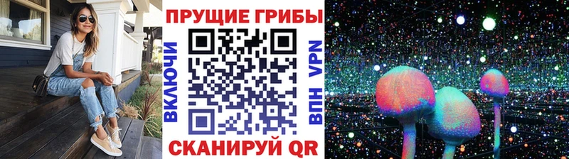 Галлюциногенные грибы Psilocybe  Дивногорск 