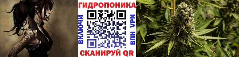 купить наркотики цена Дивногорск Бошки Шишки гибрид